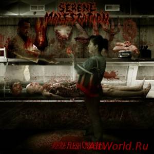 Скачать Serene Molestation - We're Flesh Obsessed (2014)