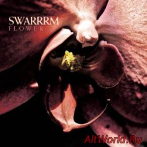 Скачать Swarrrm - Flower (2014)
