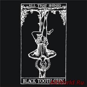 Скачать Black Tooth Grin - All That Shines (2015)