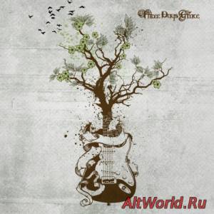 Скачать Three Days Grace - Acoustic Wood Insight (2015)
