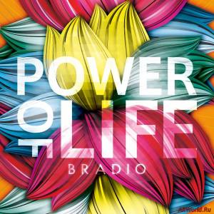 Скачать Bradio - Power Of Life (2015)