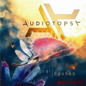 Скачать Audiotopsy - Natural Causes (2015)