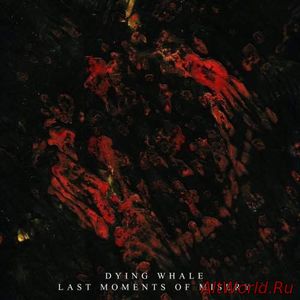 Скачать Dying Whale - Last Moments Of Misery (2017)