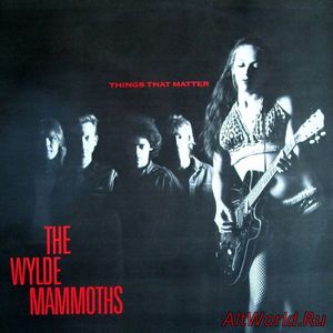 Скачать The Wylde Mammoths - Things That Matter (1988)