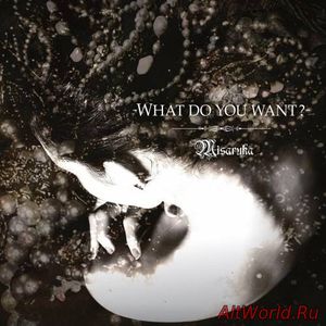 Скачать Misaruka - What Do You Want? (2017)