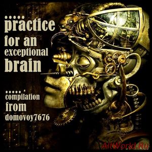 Скачать Practice for an Exceptional Brain Pt.I - Compilation (2017)