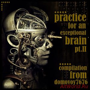 Скачать Practice for an Exceptional Brain Pt.II - Compilation (2017)