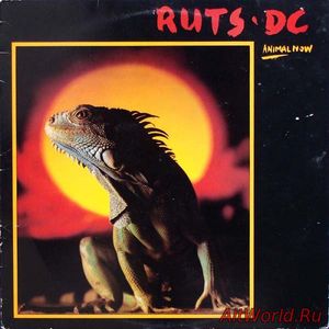 Скачать Ruts DC - Animal Now (1981)