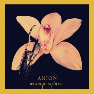 Скачать бесплатно Anion - Without Solace (2013)