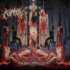 Скачать Astarot - Vaginal Impalement (2018)