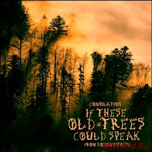 Скачать If These Old Trees Could Speak - Compilation (2018)