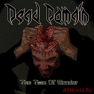 Скачать Dead Domain - The Time Of Wonder (2018)