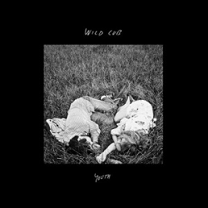Скачать бесплатно Wild Cub - Youth [Deluxe Edition](2014)