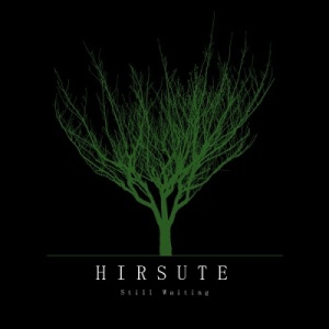 Скачать бесплатно Hirsute - Still Waiting (2014)