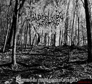 Скачать Blackthorn Suffering - Терновые Страдания (Single)(2014)