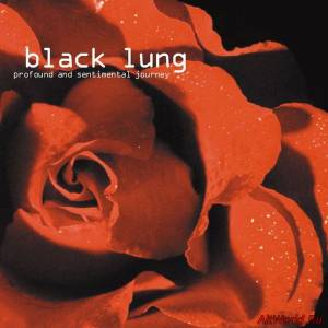 Скачать Black Lung - Profound And Sentimental Journe (2001)