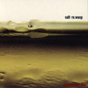 Скачать Salt - Re.wasp (2000)