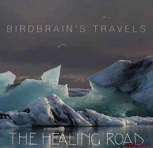 Скачать The Healing Road - Birdbrain's Travels (2014)