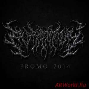 Скачать Embryectomy - Promo [Demo] (2014)