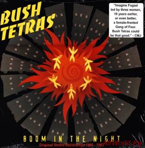 Скачать Bush Tetras - Boom In The Night (Original Studio Recordings 1980-1983) (2003)