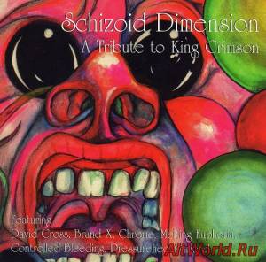 Скачать VA - Schizoid Dimension - A Tribute To King Crimson (1997)