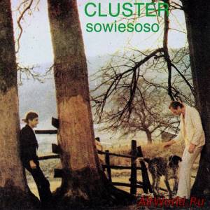 Скачать Cluster - Sowiesoso (1976)