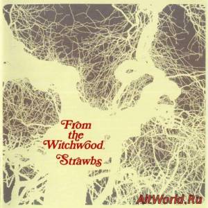 Скачать Strawbs - From the Witchwood (1971)