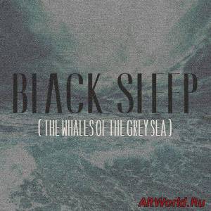 Скачать Black Sleep - The Whales Of The Grey Sea (2016)