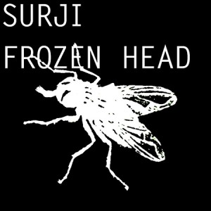 Скачать бесплатно Surji - Frozen Head (2013)