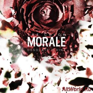 Скачать The Color Morale - Desolate Divine (2016)