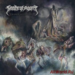 Скачать Seeds Of Agony - Morbid Reflections (2016)