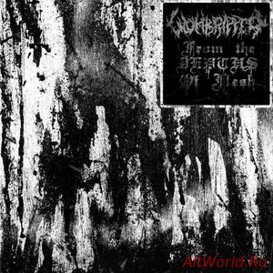 Скачать Wombripper - From The Depths Of Flesh (2018)