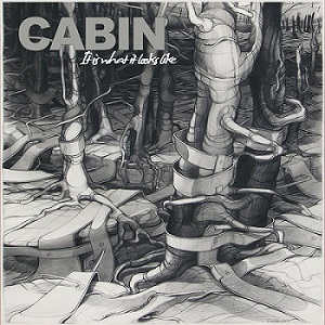 Скачать бесплатно CABIN - It Is What It Looks Like [EP](2013)