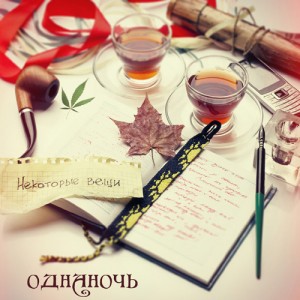 Скачать бесплатно Однаночь - Некоторые вещи (2013)