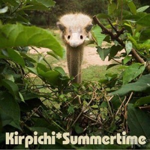 Скачать бесплатно Кирпичи - Summertime (2013)