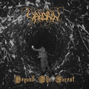 Скачать бесплатно Valdrin - Beyond The Forest (2013)