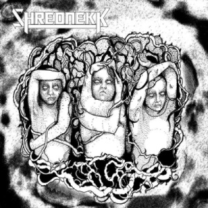 Скачать бесплатно ShrednekK - The Suicide Tribe (2014)