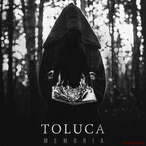 Скачать Toluca - Memoria (2014)