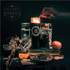 Скачать бесплатно Silver Snakes - Year Of The Snake (2014)