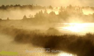 Скачать бесплатно Døde Mellomrom-Begynnelsen Av Slutten? (Начало Конца?)(2014)