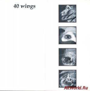 Скачать VA - 40 Wings (1996)