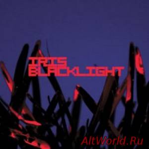 Скачать Iris - Blacklight (2010)