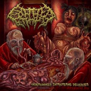 Скачать Splattered Entrails - dercooked Intrauterine Delicacies (2014)