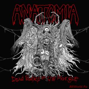 Скачать Anatomia - Dead Bodies In The Morgue (2013)