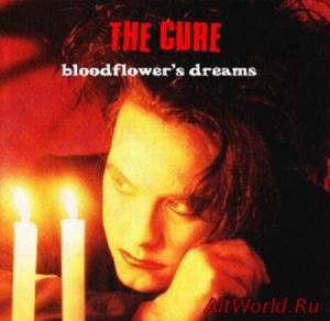 Скачать The Cure - Bloodflower's Dreams (Bootleg) (2000)