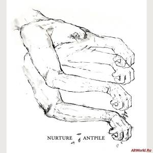 Скачать Antpile / Nurture - Split (2014)