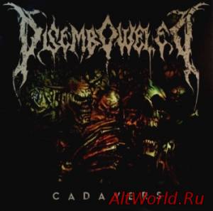 Скачать Disemboweled - Cadavers (2014)