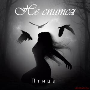 Скачать Не cпится - Птица (2014)